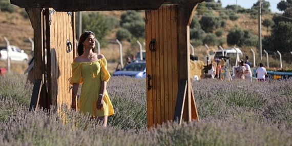Didim Lavanta Festivali Kartpostallık Görüntüler İle Kapılarını Açtı