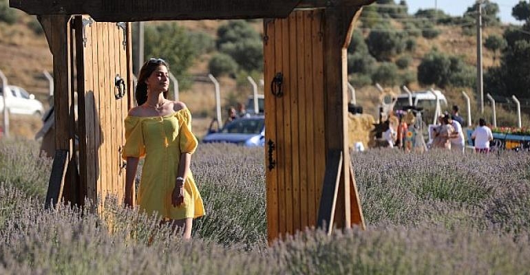 Didim Lavanta Festivali Kartpostallık Görüntüler İle Kapılarını Açtı