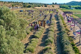 didimin-mis-kokulu-festivaline-vatandaslardan-yogun-ilgi.jpg