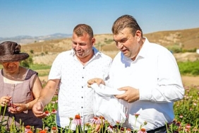 mis-kokulu-senlikte-2-hasat-birden.jpg