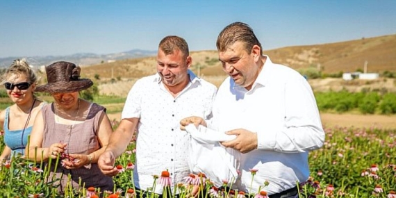 Mis kokulu şenlikte 2 hasat birden!