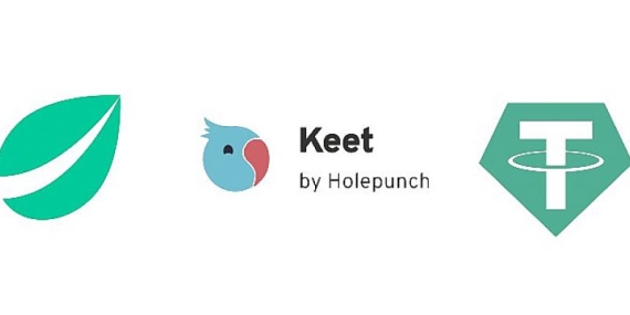 Tether, Bitfinex ve Hypercore Uçtan Uca Şifreli Uygulamaların Yer Alacağı Bir Platform Olan Holepunch’ı Duyurdu!