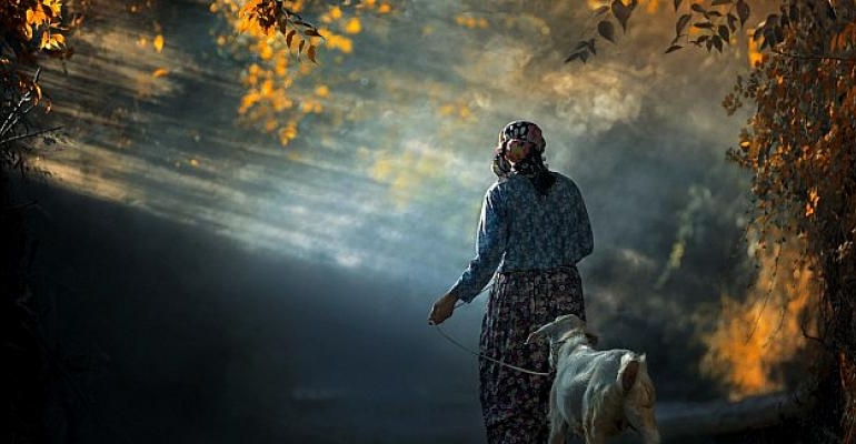 5. Ulusal Fotoğraf Yarışması için son başvuru tarihi 12 Ağustos