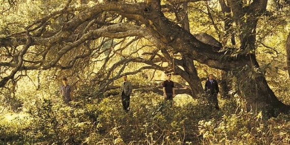 Brit-rock’un efsane grubu Travis, Garanti BBVA sponsorluğunda  19 Ekim’de Zorlu PSM’de