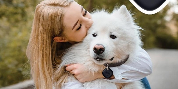 Can Dostlarımızı güvenle takip etmeyi sağlayan Galaxy SmartTag şimdi petshop ve veteriner kliniklerde