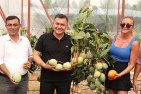 ivana-sert-mango-topladi.jpg