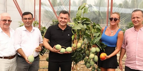 Ivana Sert Mango Topladı