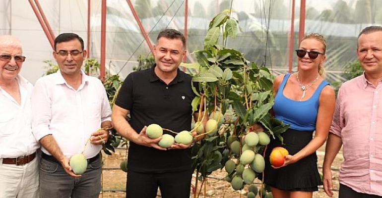 Ivana Sert Mango Topladı