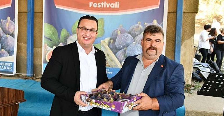 Mustafakemalpaşa’da İncir Festivali Başlıyor