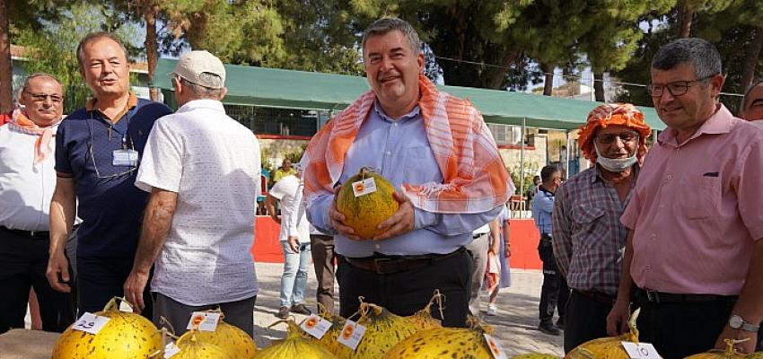 ovacikta-festival-heyecani-basliyor.jpg