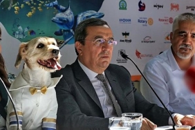 patilerin-festivalinden-ucuncu-kez-merhaba.jpg