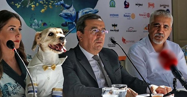 Patilerin Festivali’nden üçüncü kez Merhaba