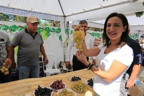 serefine-salkim-hanim-osmancik-uzum-senligi-bu-pazar-gokcealanda.jpg