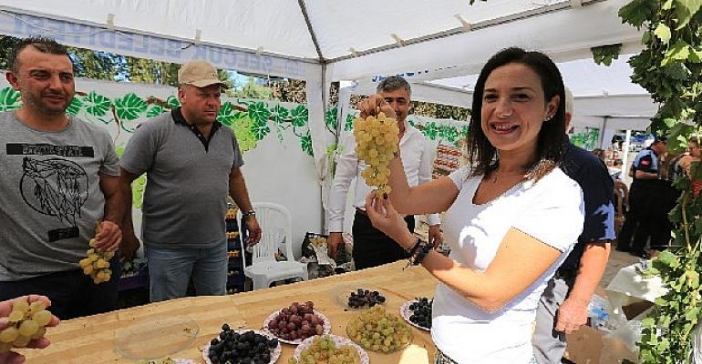 Şerefine Salkım Hanım Osmancık Üzüm Şenliği Bu Pazar Gökçealan’da