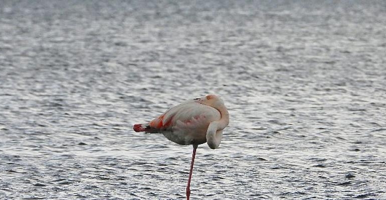 9. Küresel İklim Değişikliği Fotoğraf Yarışması’nın Kazananları Belirlendi