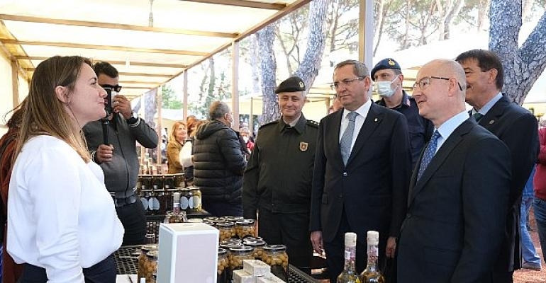 Ayvalık 17. Uluslararası Zeytin Hasat Festivali Programı Yine Dopdolu