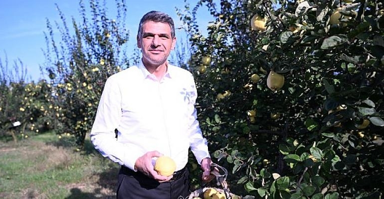 Eşme Ayva Festivali 23 Ekim’de