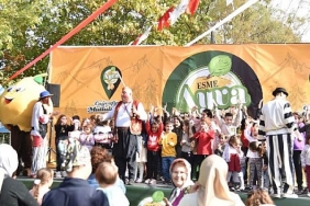 kartepede-turkiyenin-en-guzel-ayvalari-yaristi.jpg