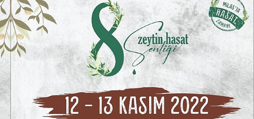 milasta-senlik-zamani.jpg