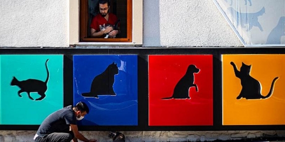 Fotoğraf Yarışması İçin Son 3 Gün
