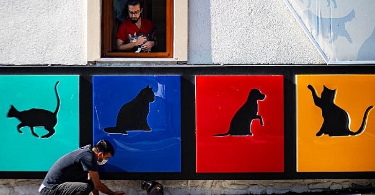 Fotoğraf Yarışması İçin Son 3 Gün