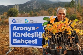 antalya-ile-izmitin-aronya-kardesligi.jpg