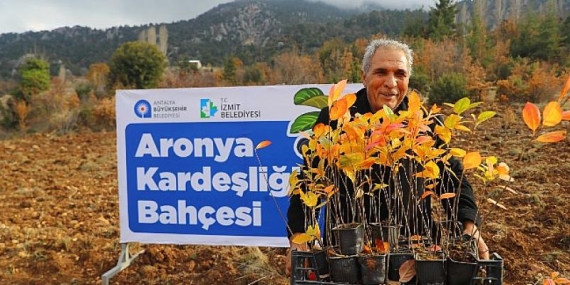 Antalya ile İzmit'in Aronya kardeşliği
