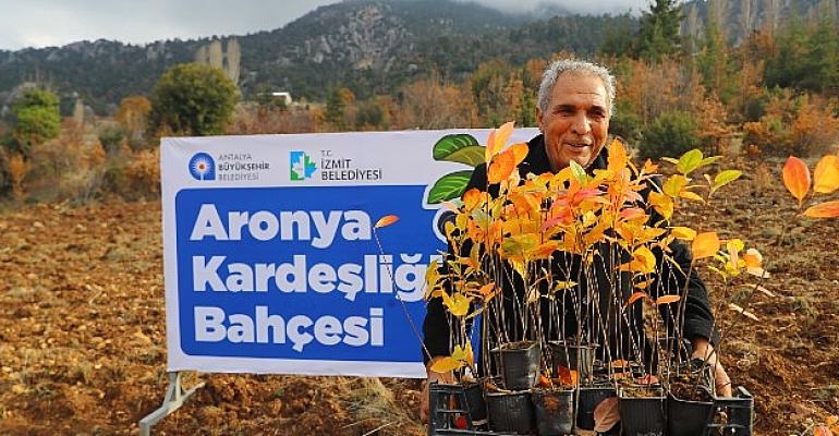 Antalya ile İzmit'in Aronya kardeşliği