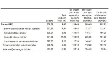 TÜİK Tarım ürünleri üretici fiyat endeksi (Tarım-ÜFE) yıllık %169,45, aylık %7,00 arttı