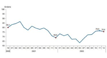 Tüketici güven endeksi 75,6 oldu