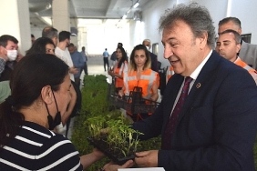 bornovada-tibbi-ve-aromatik-bitki-yetistiriciligi.jpg