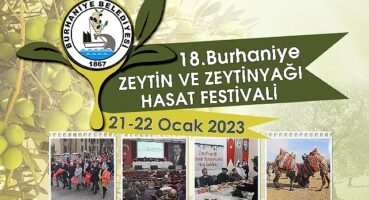 Burhaniye Zeytin Hasat Festivaline Geri Sayım Başladı