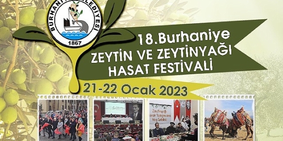 Burhaniye Zeytin Hasat Festivaline Geri Sayım Başladı