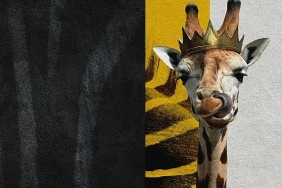 disneyin-sihirli-hayvan-kralligi-national-geographic-wildda.jpg