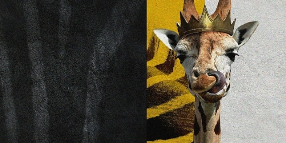 “Disney'in Sihirli Hayvan Krallığı" National Geographic WILD'da