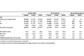 mevsim-etkisinden-arindirilmis-issizlik-orani-%102-seviyesinde-gerceklesti.jpg