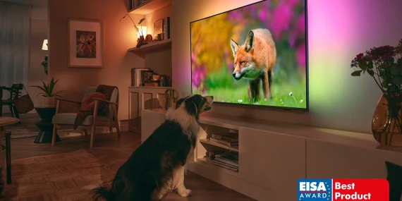 Philips TV & Sound 4 prestijli EISA ödülü kazandı