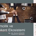 Girişimcilik Ekosistemi: İş Birliği ve Ortaklık Modelleri