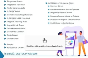 Yerli Girişimcilikte İş Birliği ve Destek Programları Önerileri