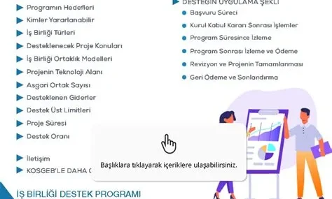 Yerli Girişimcilikte İş Birliği ve Destek Programları Önerileri