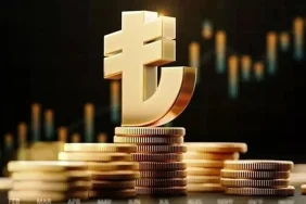 Dijital Türk Lirası ve Merkez Bankası Dijital Para Çalışmaları