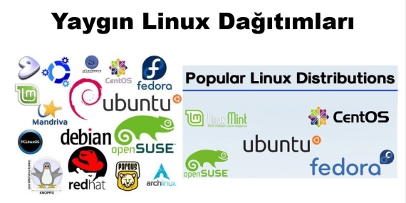 Linux Dağıtımları: Hangi Dağıtım Size Uygun?