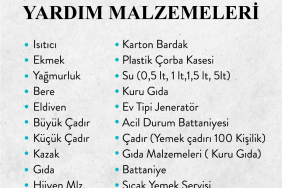 image_50QXROASI8.png