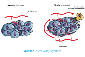 image_KG8V381Y0V.png