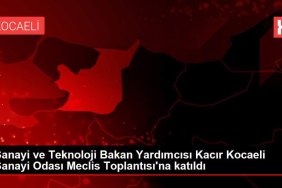 image_V8XAQTLB34.png