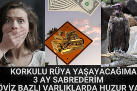 image_WQ9HKL5SKN.png