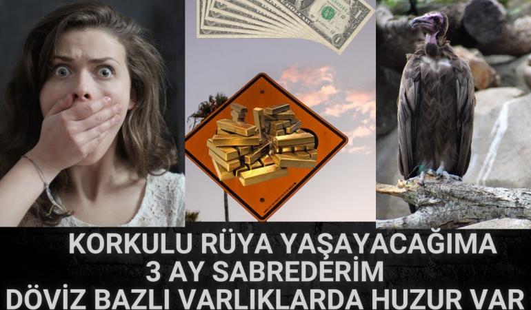 Teknoloji Hisselerinde Değişim: Nasdaq 100’e Giriş