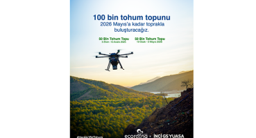 image_09EW423YLF.png