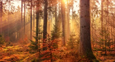 mevsimlerin-senkronize-olmadigi-ortaya-cikti-20251222-212951