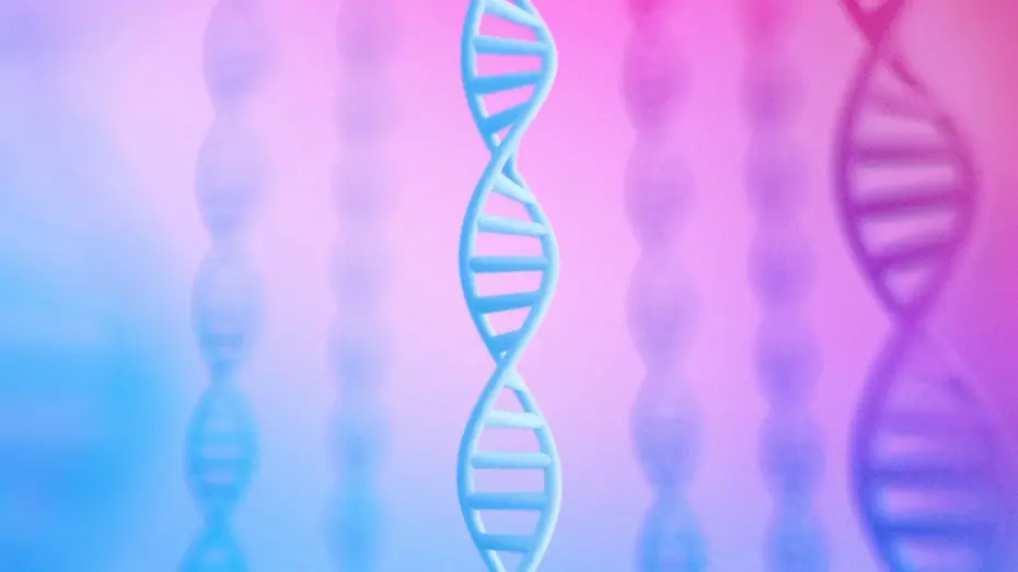 alphagenome-google-dan-insanin-karanlik-genomunu-aydinlatacak-yapay-zeka-araci-20260201-153107